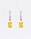 Vivid Yellow Oval Drop