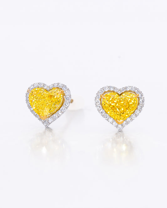 Yellow Heart Halo Stud Earrings