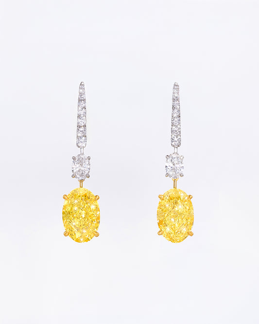 Yellow Oval Duo Earrings