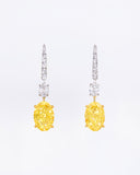 Yellow Oval Duo Earrings