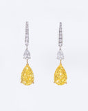 Yellow Pear Duo Earrings