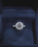 Round Halo Pave Band