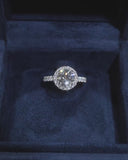 Round Halo Pave Band
