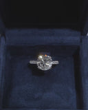 Round Pave Ring